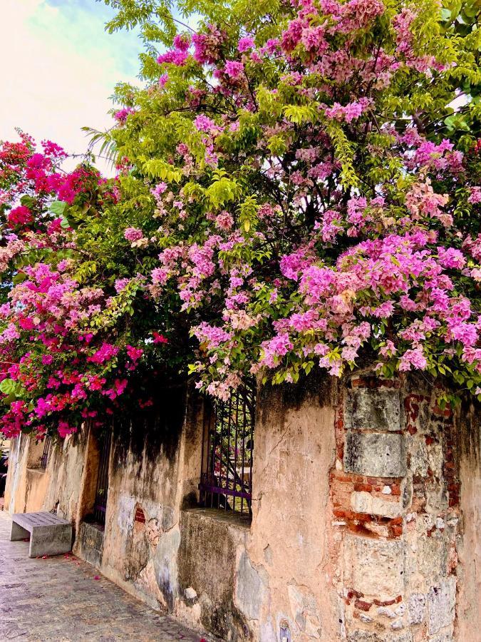 Boutique Hotel Casa Grande Santo Domingo Zewnętrze zdjęcie
